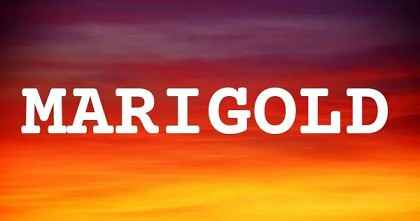 MARIGOLD英文名字意義