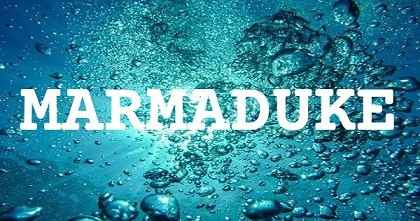 MARMADUKE英文名字意義