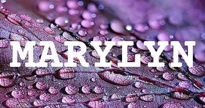 MARYLYN英文名字意義