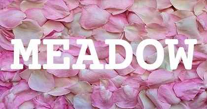 MEADOW英文名字意義