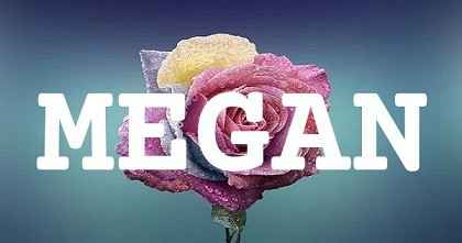 MEGAN英文名字意義