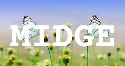 MIDGE英文名字意義