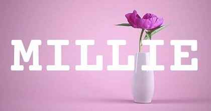 MILLIE英文名字意義