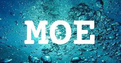 MOE英文名字意義