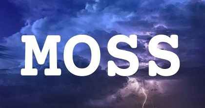 MOSS英文名字意義