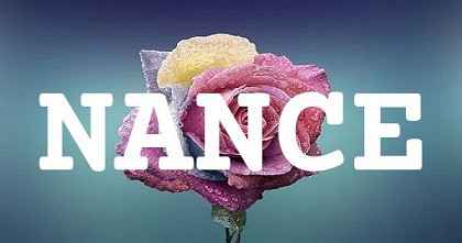 NANCE英文名字意義