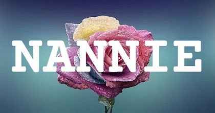 NANNIE英文名字意義