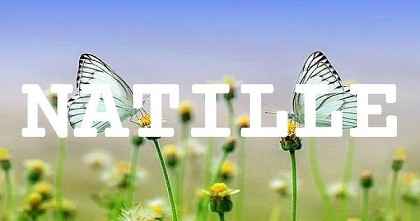 NATILLE英文名字意義