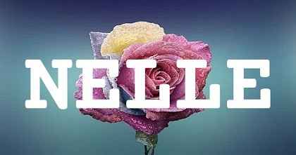 NELLE英文名字意義