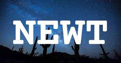 NEWT英文名字意義
