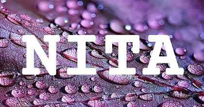 NITA英文名字意義