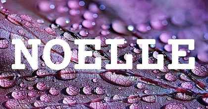 NOELLE英文名字意義