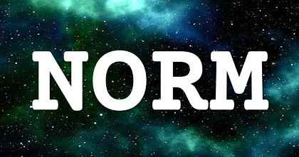 NORM英文名字意義