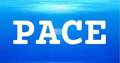 PACE英文名字意義