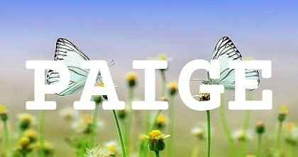 PAIGE英文名字意義
