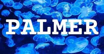 PALMER英文名字意義