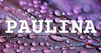 PAULINA英文名字意義
