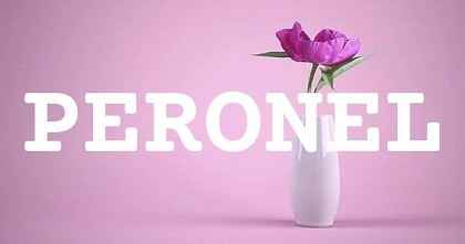 PERONEL英文名字意義
