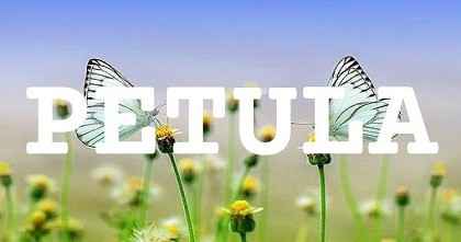 PETULA英文名字意義