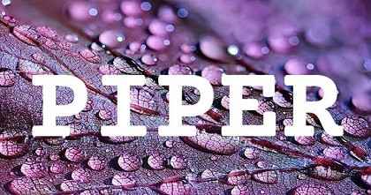 PIPER英文名字意義