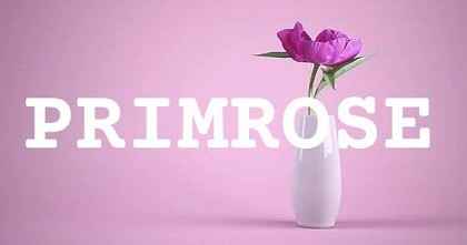 PRIMROSE英文名字意義