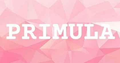 PRIMULA英文名字意義