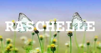 RASCHELLE英文名字意義