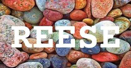REESE英文名字意義
