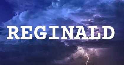 REGINALD英文名字意義