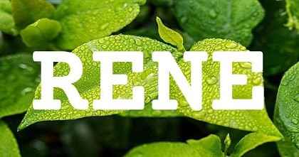 RENE英文名字意義