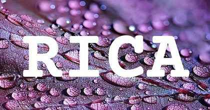 RICA英文名字意義