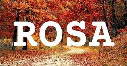 ROSA英文名字意義