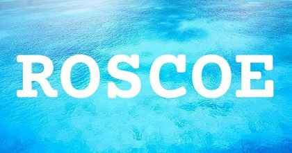 ROSCOE英文名字意義