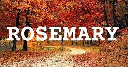 ROSEMARY英文名字意義