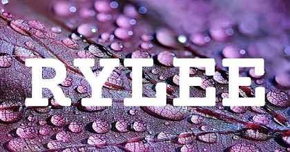 RYLEE英文名字意義