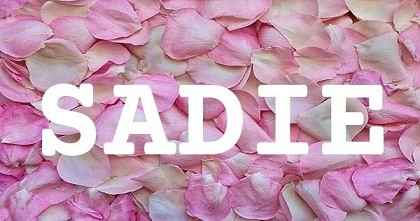 SADIE英文名字意義