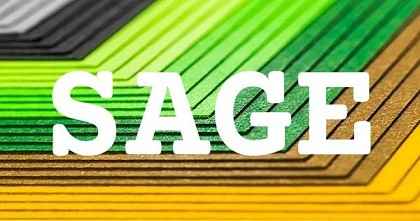SAGE英文名字意義
