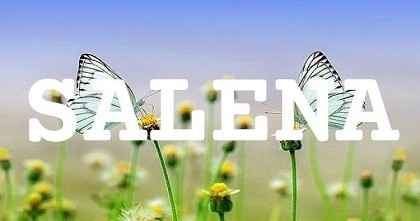 SALENA英文名字意義