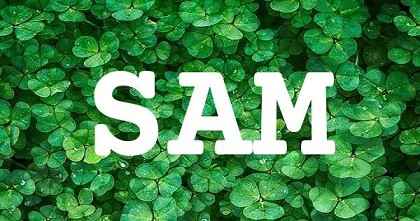SAM英文名字意義