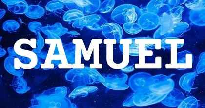 SAMUEL英文名字意義