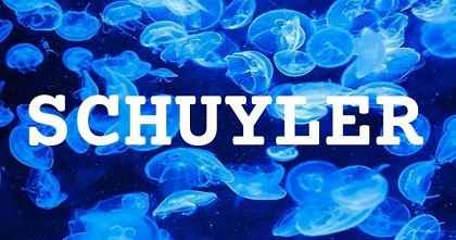 SCHUYLER英文名字意義