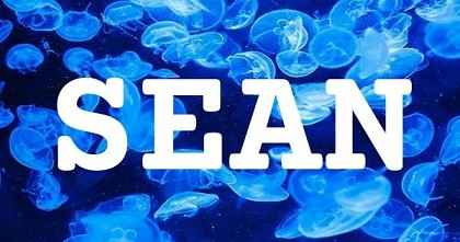 SEAN英文名字意義