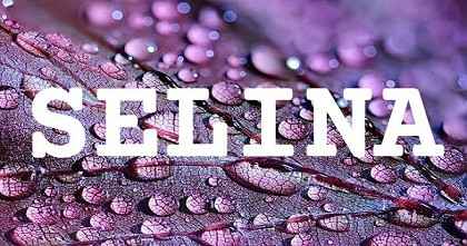 SELINA英文名字意義