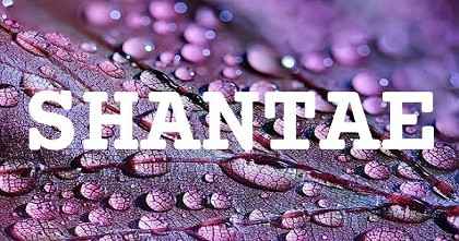 SHANTAE英文名字意義