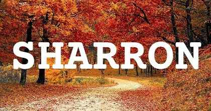 SHARRON英文名字意義
