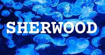 SHERWOOD英文名字意義