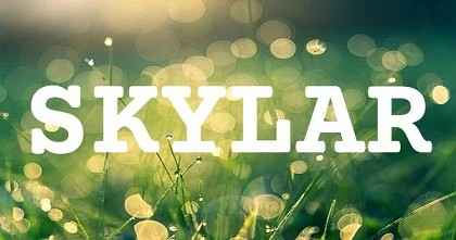SKYLAR英文名字意義