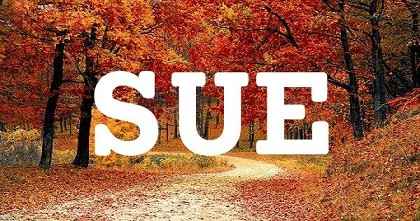 SUE英文名字意義