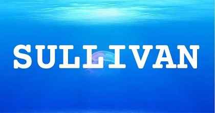 SULLIVAN英文名字意義