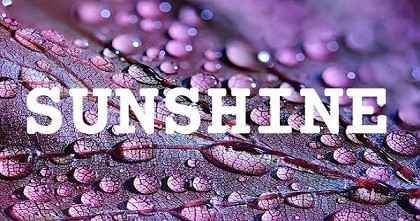SUNSHINE英文名字意義